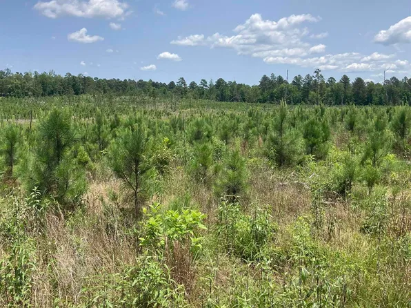 1401 Beaudry Cir, Jessieville, AR 71949