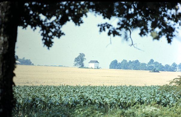 The fields across from us