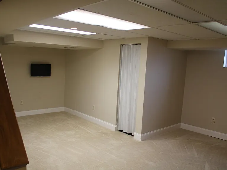 Family Room / Basement