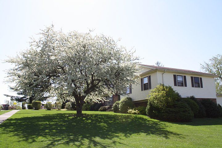 2nd image of 320 Redding Rd