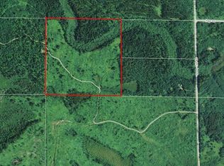 Tbd Dewey Lake Rd, Chisholm, MN 55719