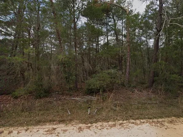 Neilson Ave Lot 23, Interlachen, FL 32148