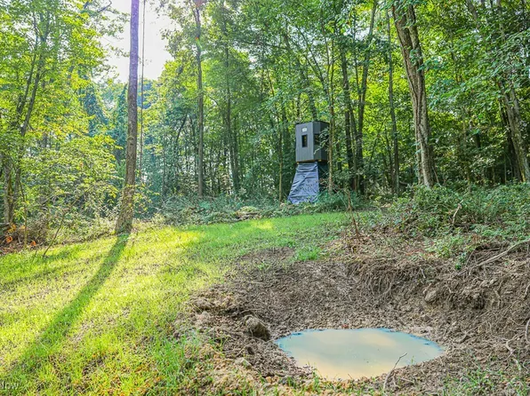 Reef Rd NE, Mechanicstown, OH 44651