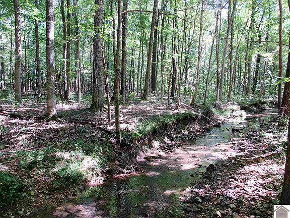 2nd image of 365 Breckinridge Point Lot 3 & 4