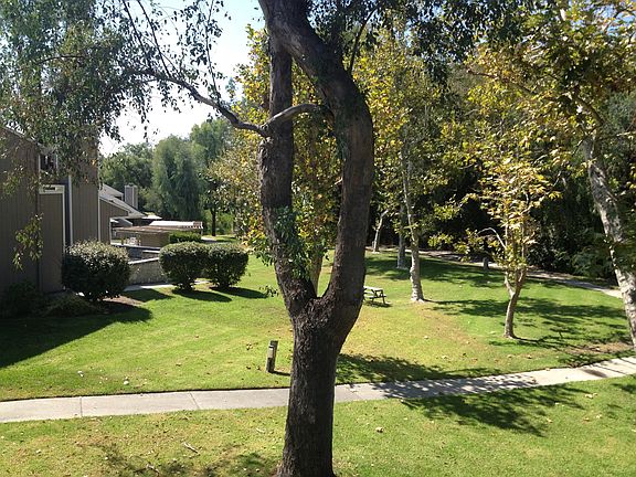 View of property from greenbelt