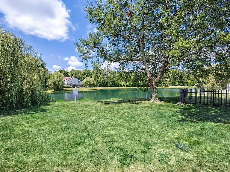Mature Trees Throughout