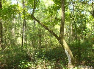 13020 S Betty Point, Floral City, FL 34436