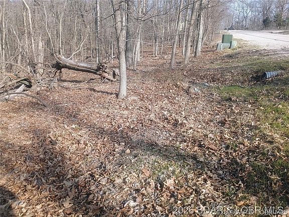3rd image of 46 Bloomington Dr