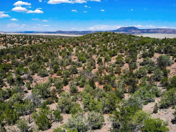 30117010Q Unnamed Rd, Seligman, AZ 86337