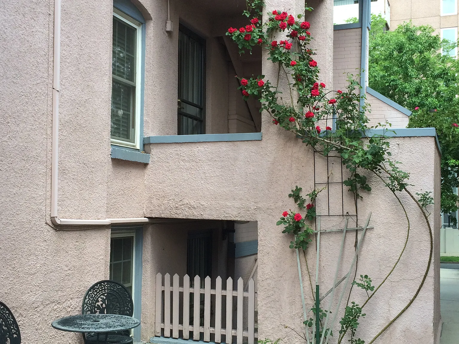 Studio, 550 sqft, $850 — Photo 2