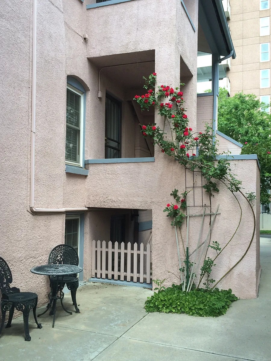 Small court yard - 127 N Pearl St #1
