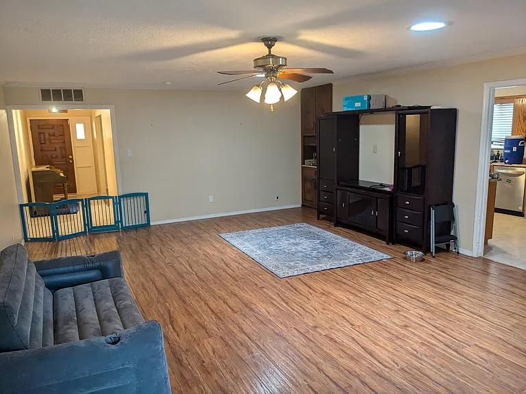 Living Room (from back door)