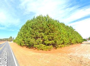 LOT 2 Wade Stedman Rd, Stedman, NC 28391