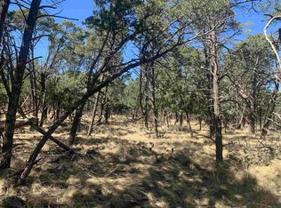 44 Norwood Dr Lot 44, Timberon, NM 88350