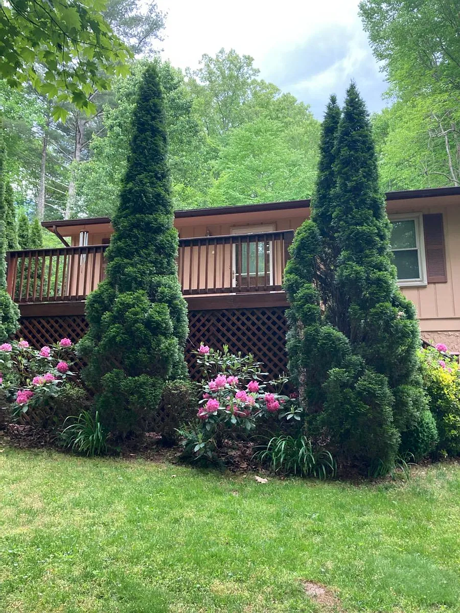 Front of house - 809 Bee Tree Rd