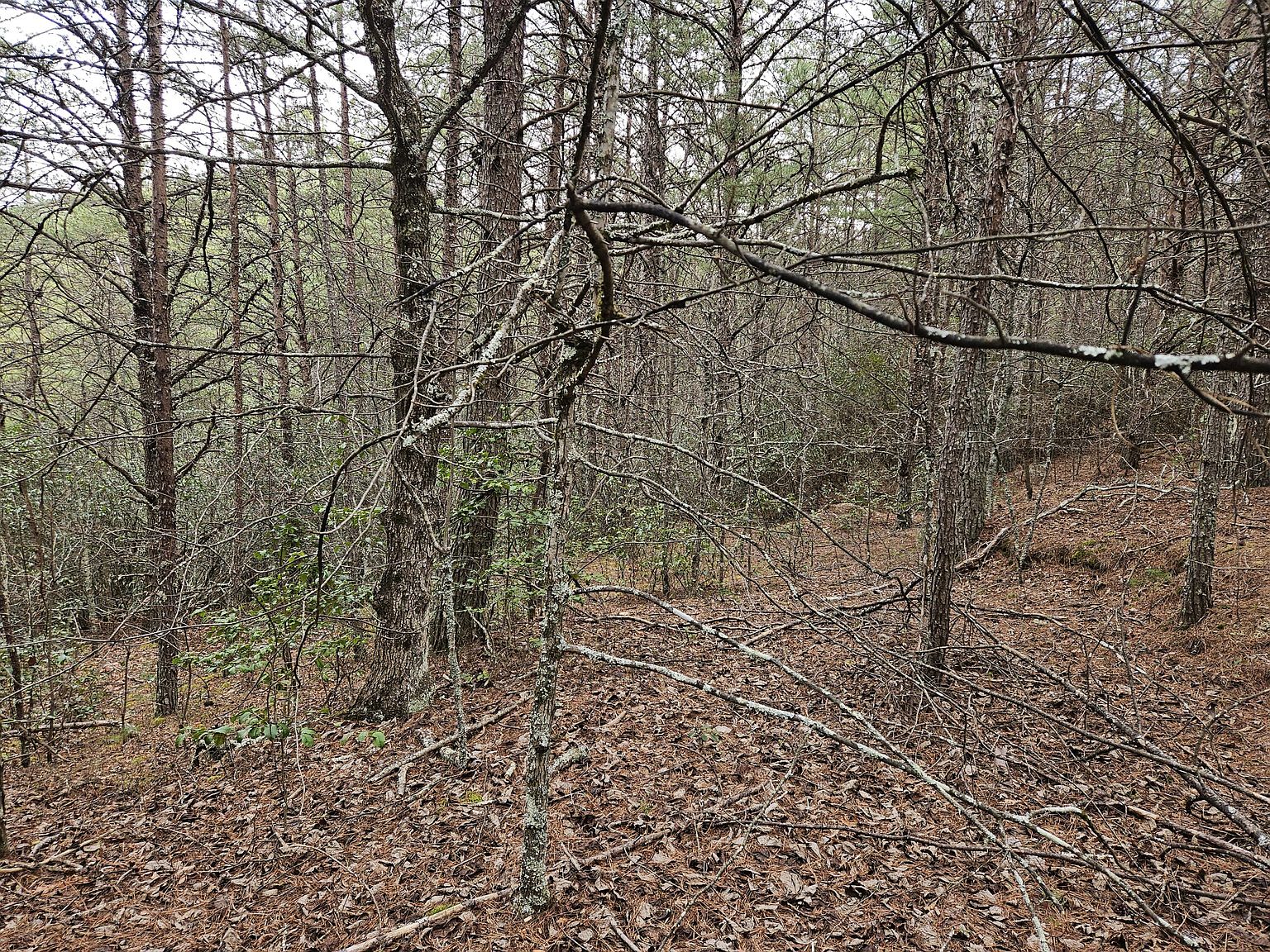 LOT 29 Belaire Dr, Copperhill, TN 37317 Zillow