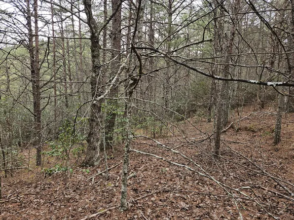LOT 29 Belaire Dr, Copperhill, TN 37317