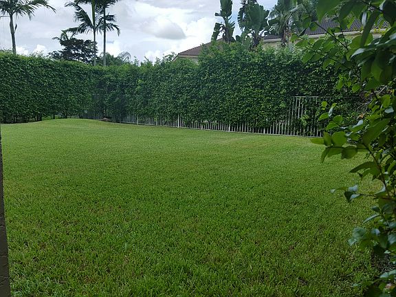 4th image of 856 Nandina Dr