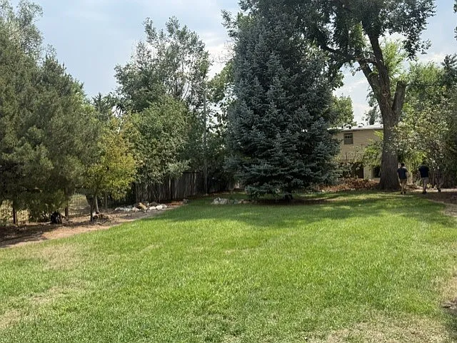 1226 W Prospect Rd — Photo 2