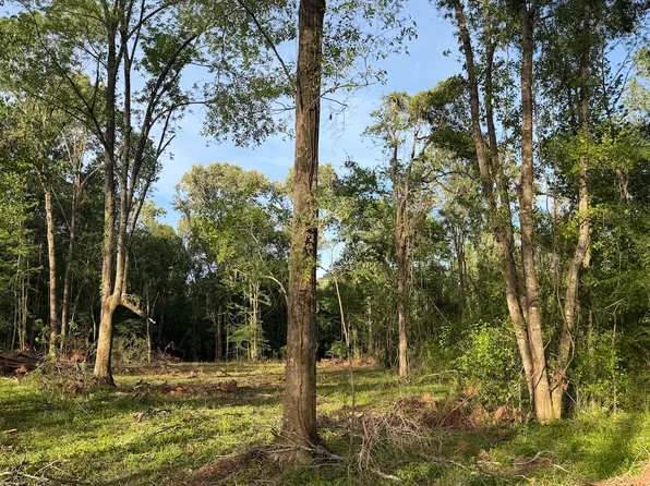 Ruby Centerpoint Rd Lot Wp001, Center Point, LA 71323