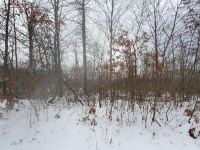 0 Sawyer Ln, Rose City, MI, 48654