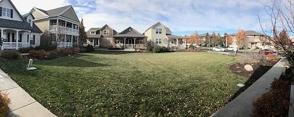 Shared Green Space