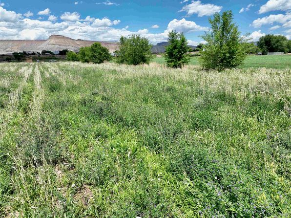 3429 D Rd, Palisade, CO 81526