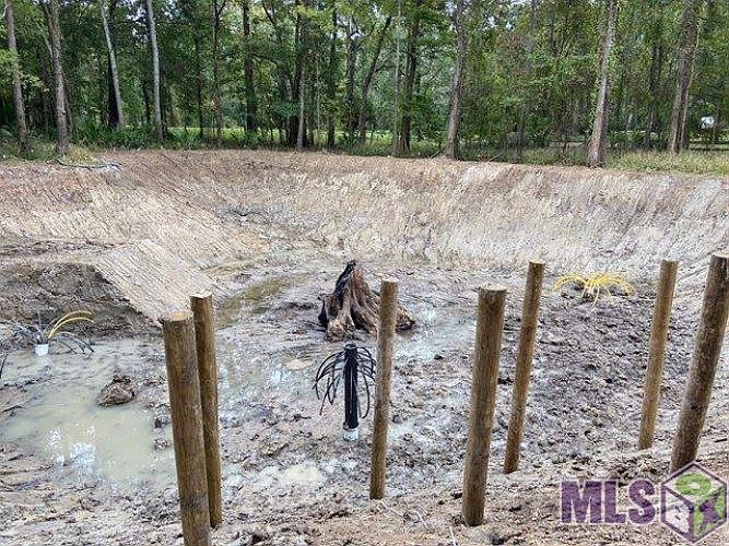 2nd image of 18677 Blythe Rd