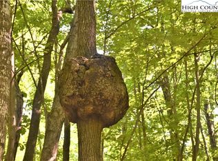 Grissel Tail Rd, Traphill, NC 28685