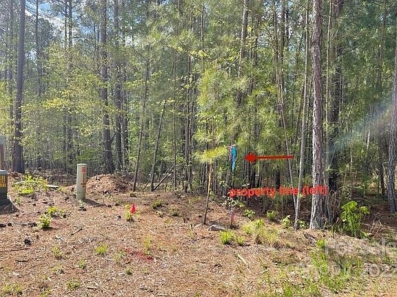 4th image of 0 Bridgewater Dr Lot 286