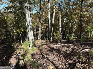 Township Road 3 Culp Lake Rd, Cedartown, GA 30125