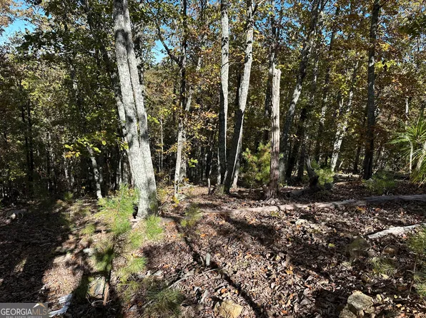 Township Road 3 Culp Lake Rd, Cedartown, GA 30125