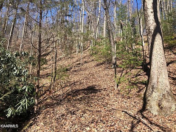 5th image of 18 Alpine Dr Lot 18