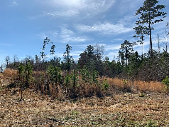 2nd image of 354 Sandra Ln