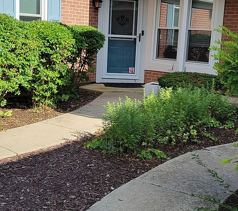 3rd image of 279 Doral Ct #279