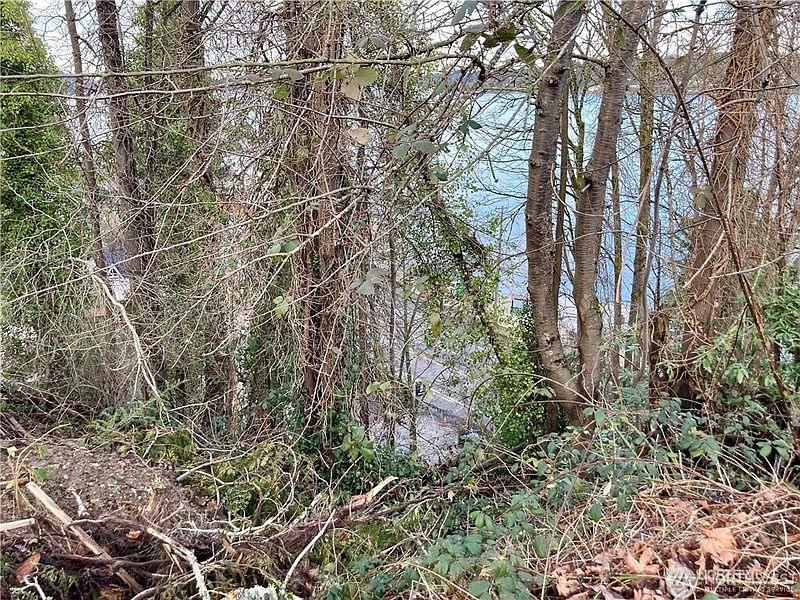 5th image of 97 XX Arrowsmith Avenue S