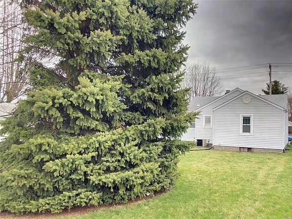 Backyard with mature trees and shed