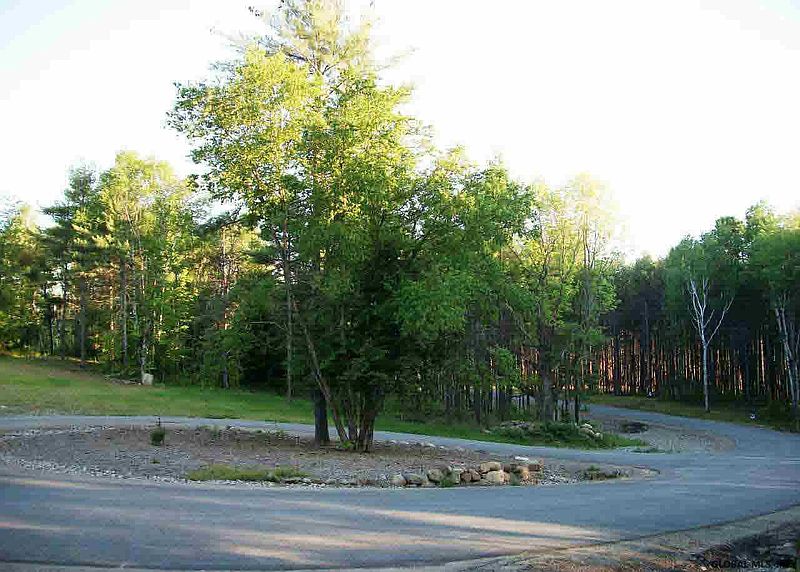 4th image of Lot #5 Snowshoe Ridge