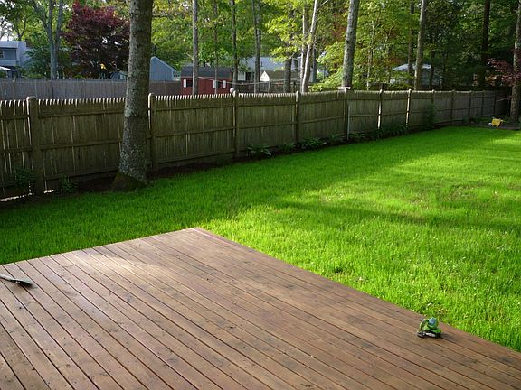 Deck and back yard