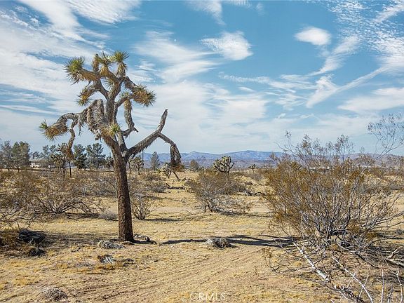 2nd image of 4 Burke Rd