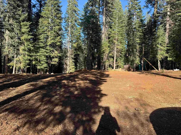 8896 Big Creek Rd, Quincy, CA 95971