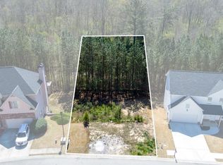 508 S Fortune Way LOT 238, Dallas, GA 30157