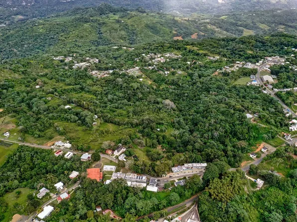 Road 140 Km #38, Florida, PR 00650