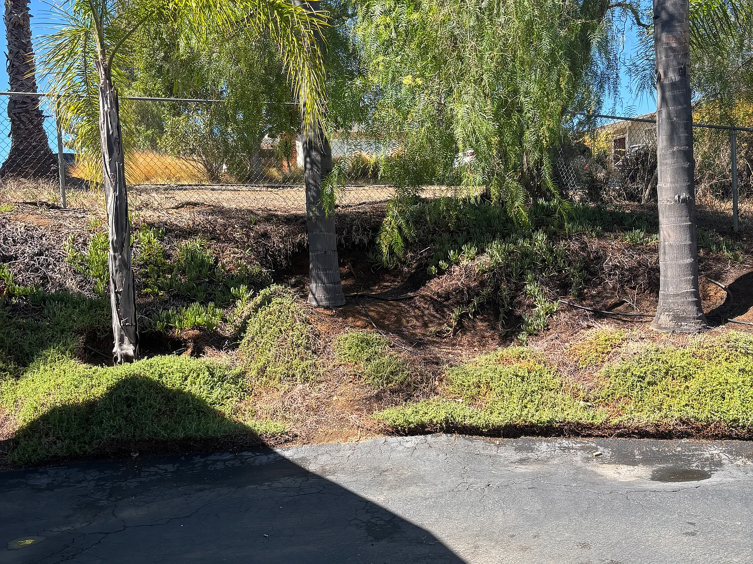1 bed, 600 sqft, $2,000 — Photo 4