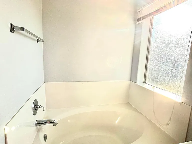 Master bathtub