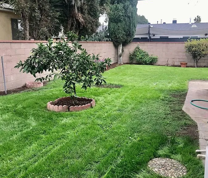 4922 Sawtelle Blvd — Photo 15