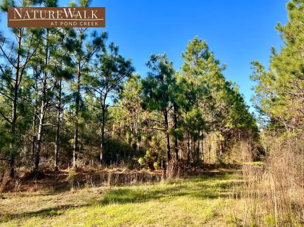 23 Ashbridge Ln, Milton, FL 32571