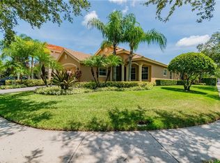 14623 Mirasol Manor Ct, Tampa, FL 33626