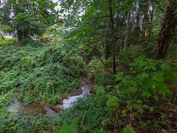 Looking down to the stream from outside the fenced yard