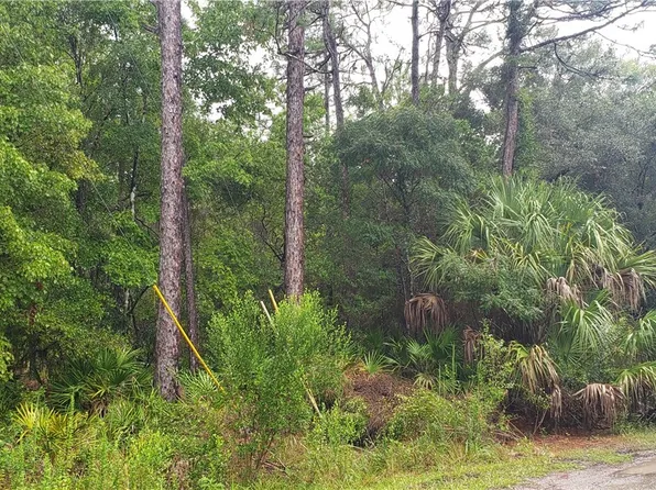 1179 N Tessa Ter, Crystal River, FL 34429